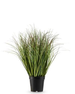 Le gazon artificiel vert sec 50 cm ignifuge possède de longues et fines brindilles artificielles vertes dans un simple pot en plastique noir, sur un fond blanc uni.