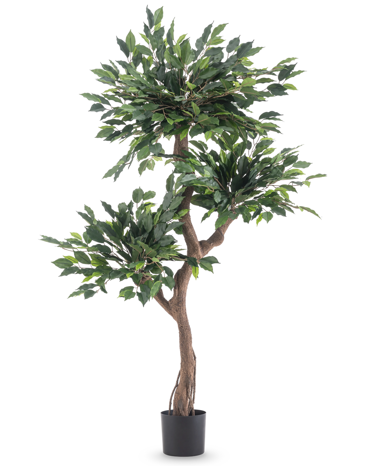 La Plante Artificielle Ficus Crazy 150 cm est un grand arbre artificiel avec trois bouquets de feuilles vertes denses et un tronc marron torsadé, dans un simple pot noir sur fond blanc.