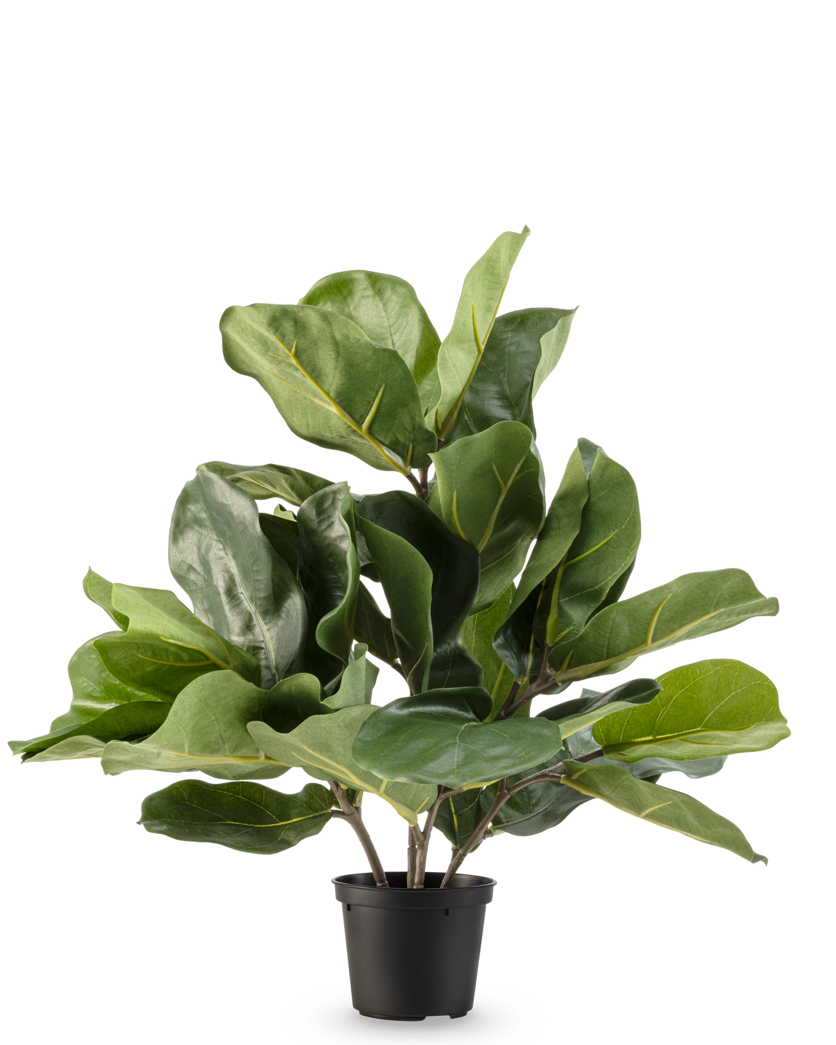 Le plant de tabac artificiel Fiddle Leaf UV 45 cm présente de grandes feuilles vertes brillantes et des tiges épaisses dans un pot en plastique noir, sur un fond blanc uni.