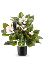 La plante Magnolia artificielle en pot de 46 cm est une plante facile d'entretien avec de grandes feuilles vertes brillantes et trois fleurs rose clair au cœur jaune, dans un simple pot noir sur fond blanc.