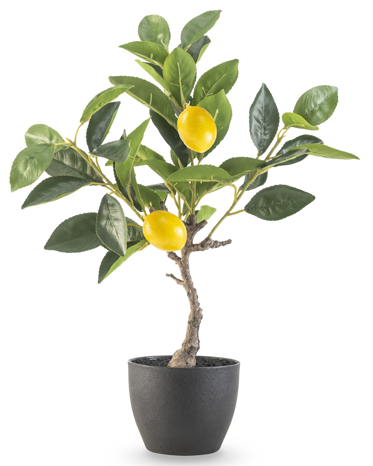 Le Citronnier Artificiel 40 cm en pot décoratif noir a des feuilles vertes et deux citrons jaunes mûrs dans un pot à structure noire, parfait pour être exposé sur un fond blanc.