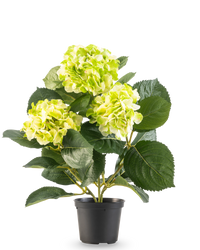 Hortensia artificiel vert 35 cm UV