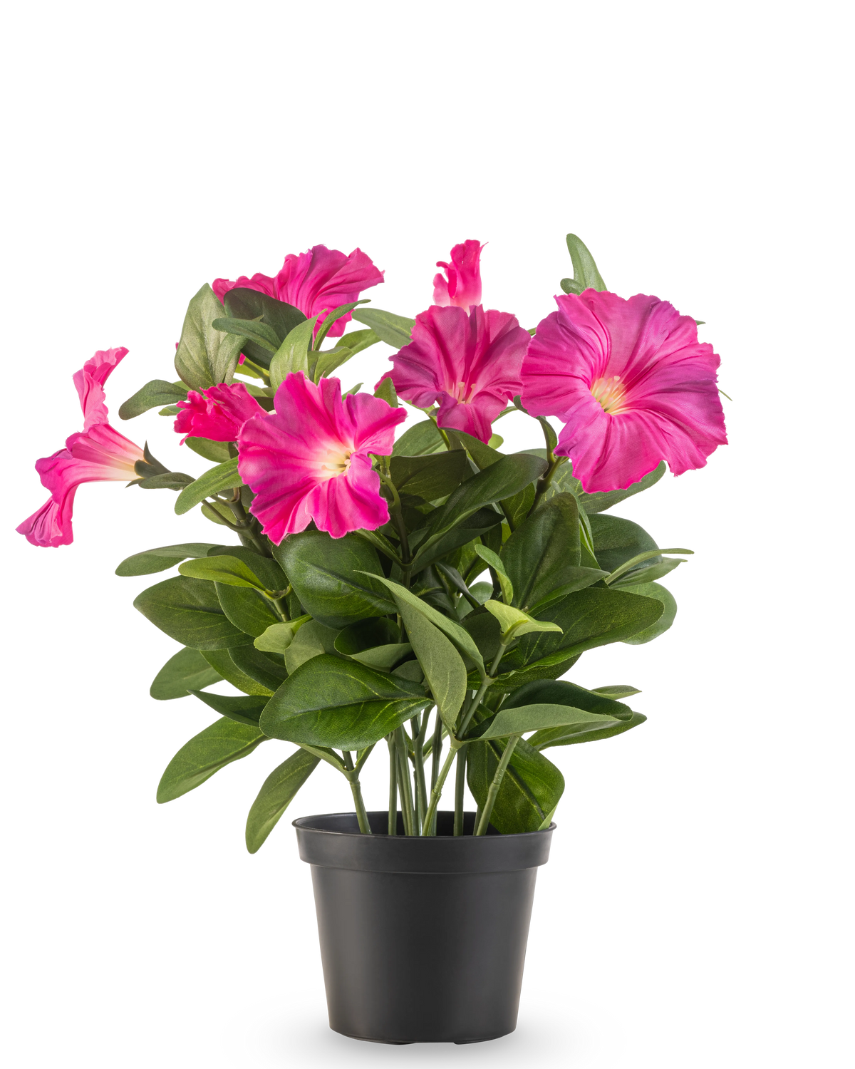 Une plante de pétunia artificielle UV de 25 cm de couleur rose foncé, avec de larges feuilles vertes et des fleurs vibrantes dans un pot en plastique noir, sur un fond blanc uni.