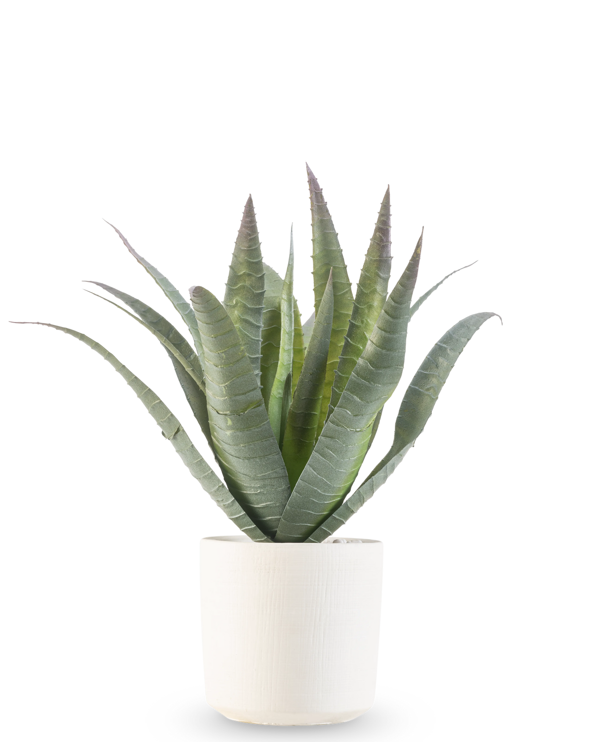 L'Agave artificielle 30 cm en pot décoratif a une succulente verte avec de longues feuilles pointues qui poussent vers le haut, présentée dans un simple pot blanc texturé sur un fond blanc uni.