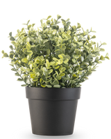 La Plante Artificielle Buis vert en pot UV 19 cm est une petite plante artificielle à feuilles vertes rondes dans un pot simple noir, sur fond blanc.