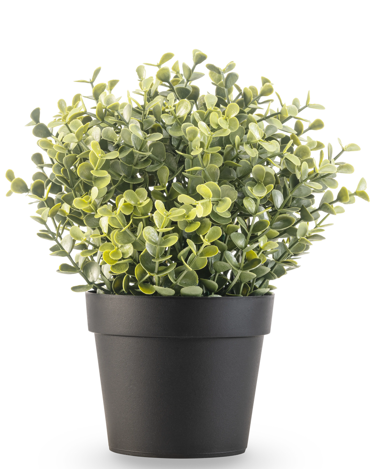 La Plante Artificielle Buis vert en pot UV 19 cm est une petite plante artificielle à feuilles vertes rondes dans un pot simple noir, sur fond blanc.