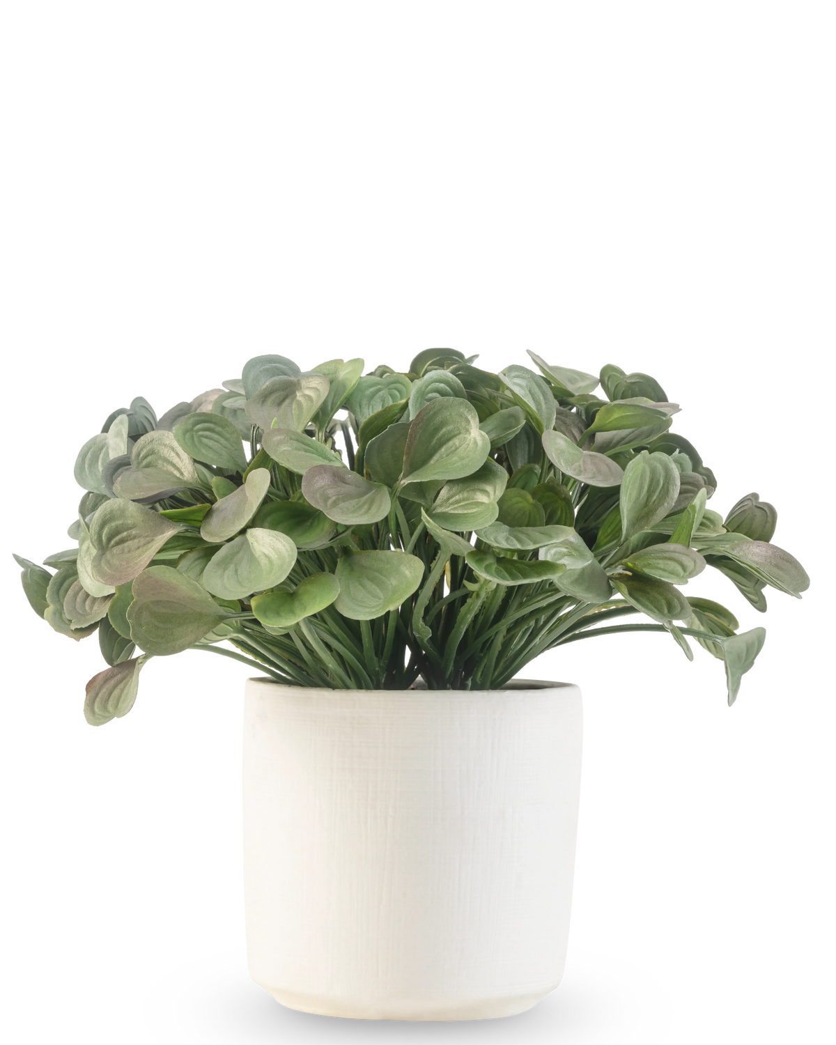 Une plante succulente artificielle de 22 cm aux feuilles rondes se dresse dans un simple pot décoratif blanc sur un fond blanc.