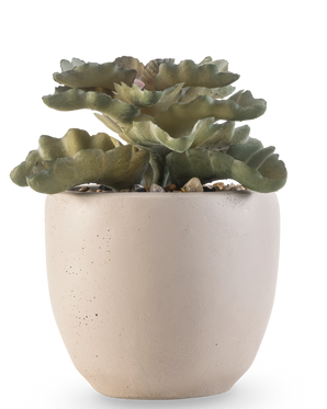 La plante succulente artificielle 15 cm a des feuilles plates vertes et ondulées dans un pot rond en céramique beige clair avec de petites pierres, sur un fond blanc.