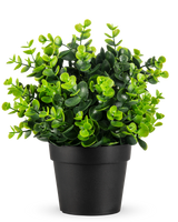 La Plante Artificielle Verte en pot UV 22 cm est une petite plante artificielle verte vibrante avec des feuilles denses et rondes dans un simple pot noir, représentée sur un fond blanc uni.