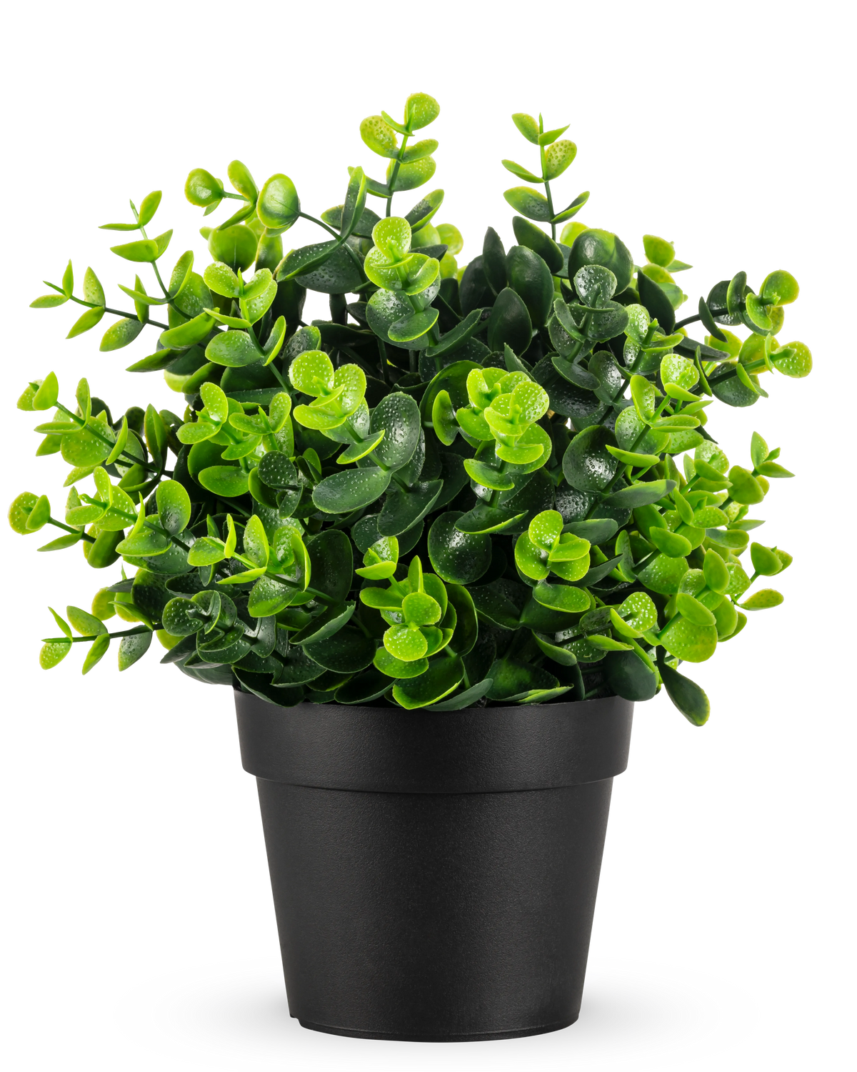 La Plante Artificielle Verte en pot UV 22 cm est une petite plante artificielle verte vibrante avec des feuilles denses et rondes dans un simple pot noir, représentée sur un fond blanc uni.