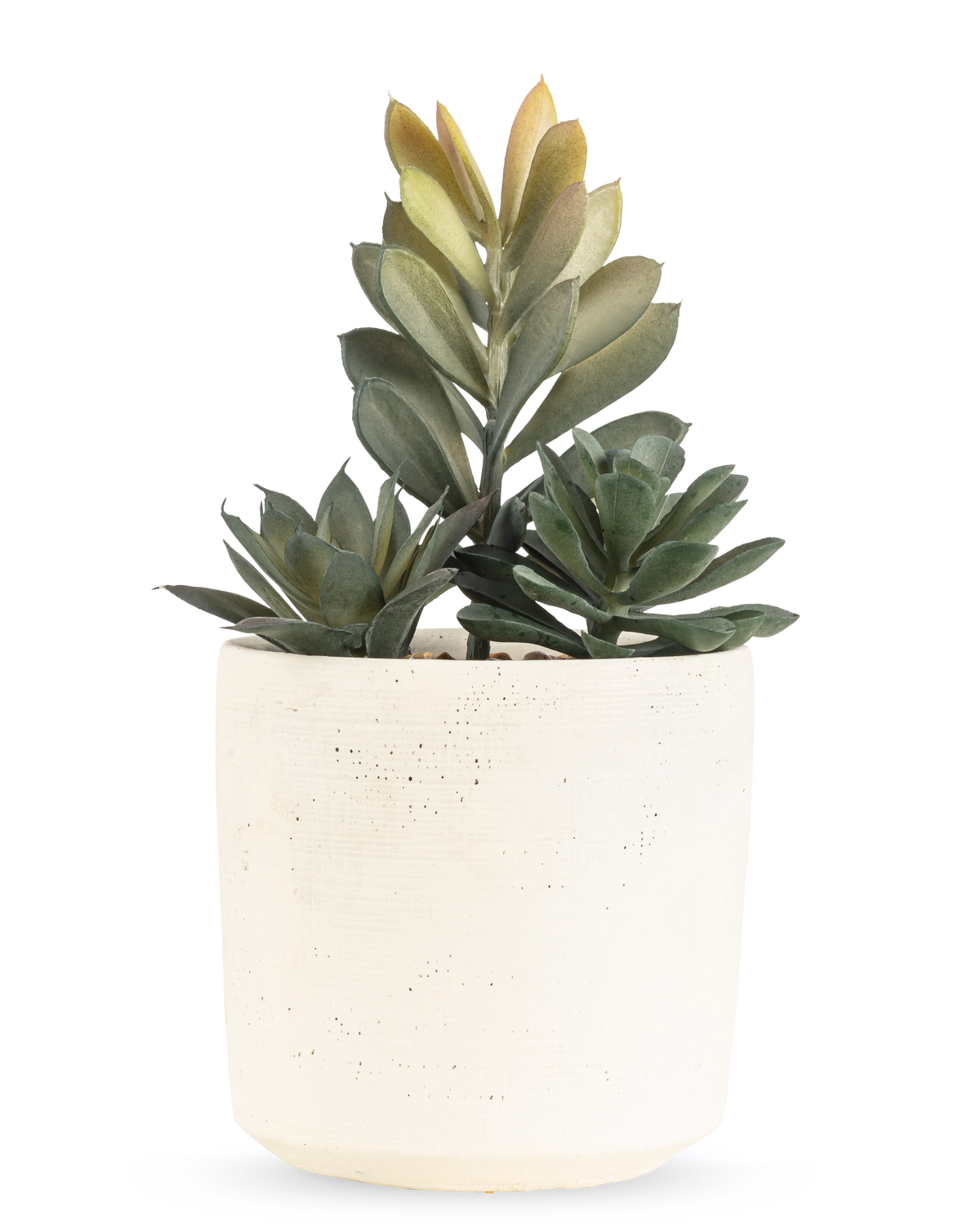 La plante succulente artificielle de 20 cm a une succulente compacte avec des feuilles vertes luxuriantes dans un pot simple avec une texture blanc cassé, sur un fond blanc uni.