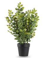 La Plante Artificielle Verte 35 cm est une plante artificielle réaliste en pot avec des feuilles vertes luxuriantes dans un simple pot noir, représentée sur un fond blanc uni.