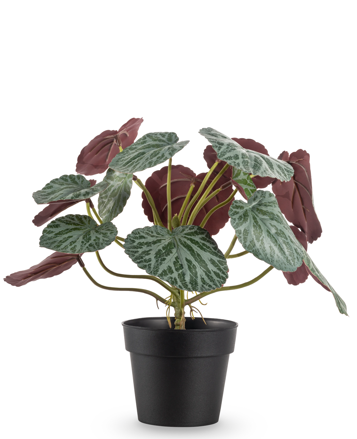 La Plante Artificielle Saxifraga 27 cm a des feuilles vertes avec des nervures blanches et un dessous rouge-violet, présentées dans un simple pot noir sur un fond blanc uni.