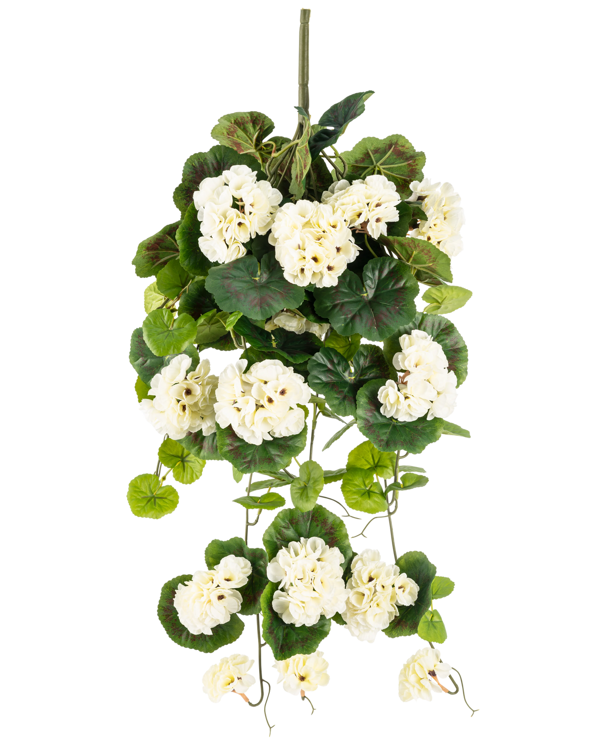 La Plante artificielle suspendue Géranium 75 cm blanc est une plante artificielle suspendue avec des bouquets de fleurs blanches et des feuilles vertes, verticales sur un fond uni blanc.