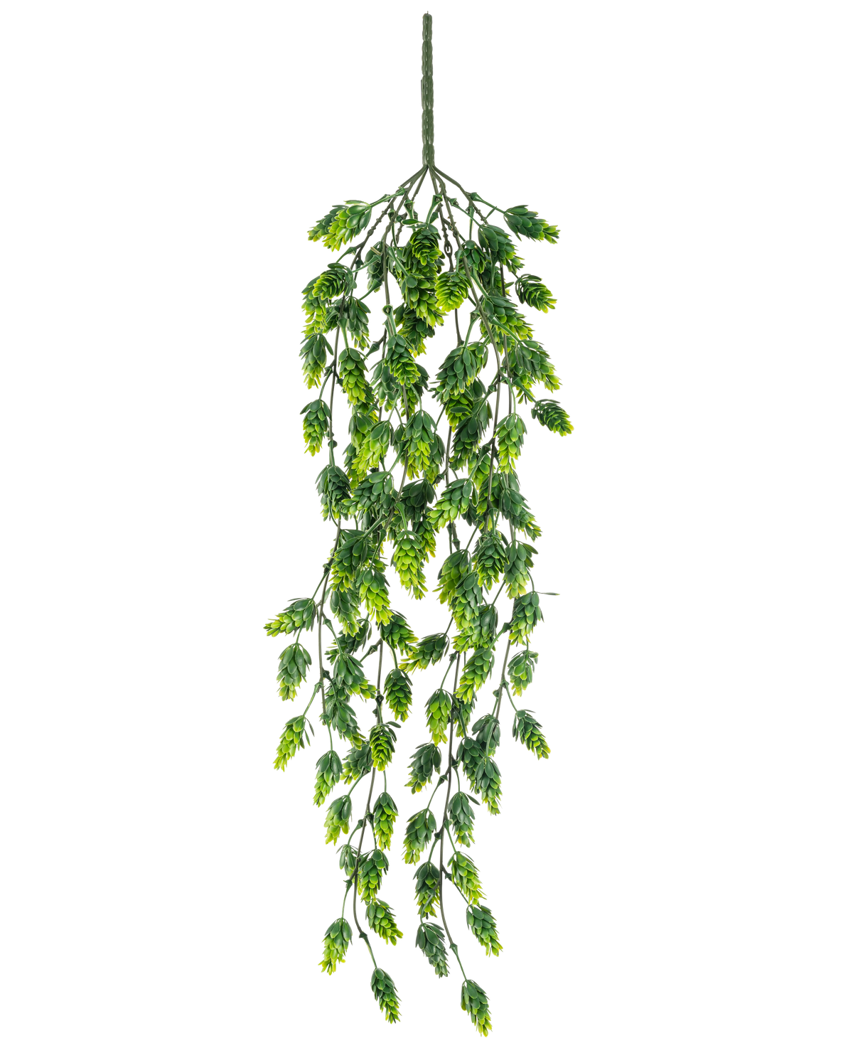 La Plante Artificielle Suspendue Hop UV 80 cm est une plante artificielle suspendue aux feuilles vertes en cascade sur de longues tiges fines, isolées sur un fond blanc.