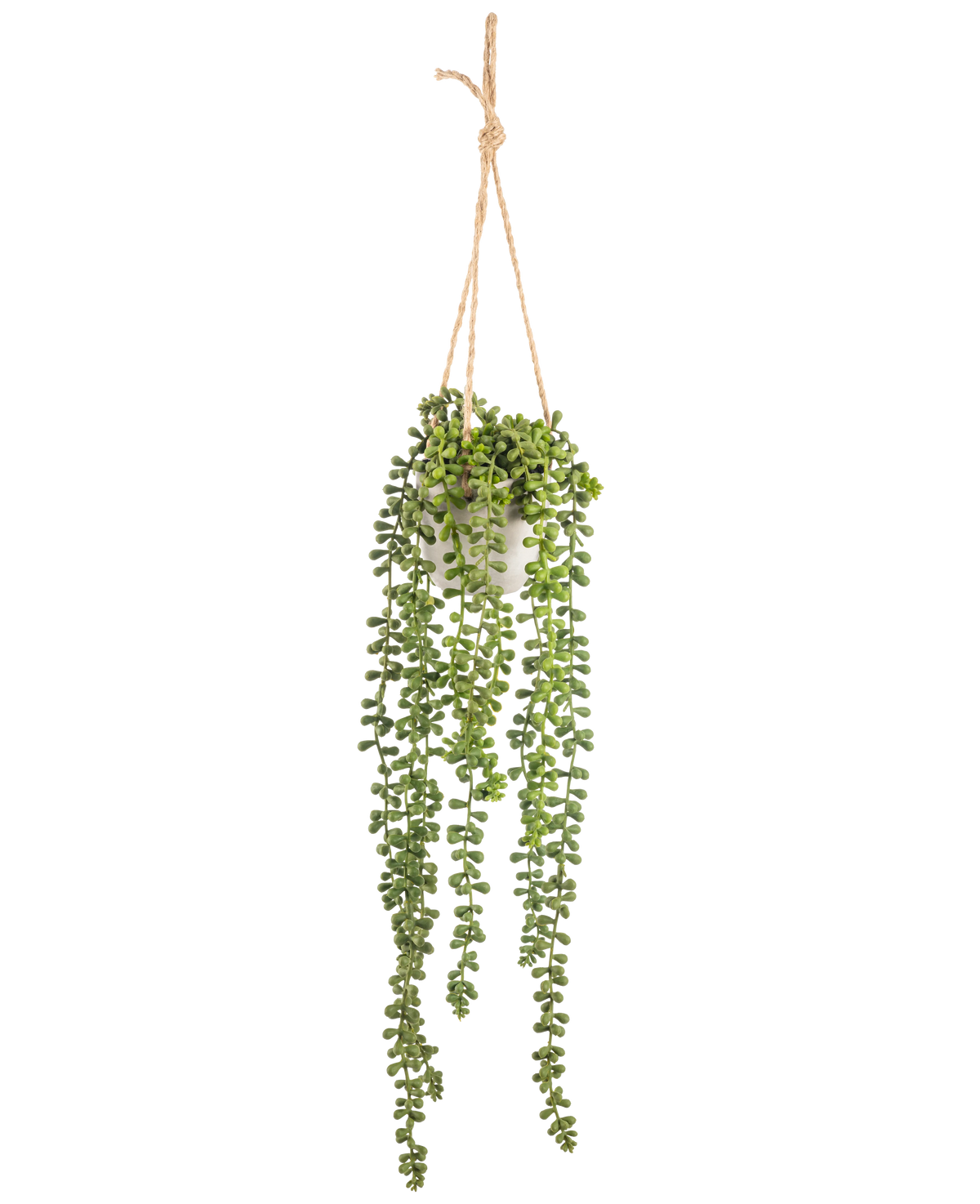 La plante artificielle suspendue Senecio en pot de 55 cm a de longues tiges vertes suspendues avec des feuilles rondes, suspendues dans un pot blanc sur une corde beige, parfaite pour ajouter de la verdure à n'importe quel espace.
