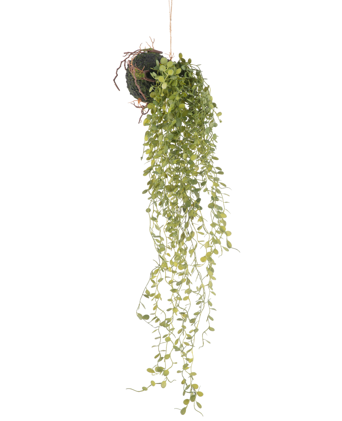 La Plante Artificielle Suspendue Plante Succulente Boule 58 cm présente une plante succulente verte avec de petites feuilles rondes, suspendue à une boule au sol recouverte de mousse, sur un fond blanc uni.