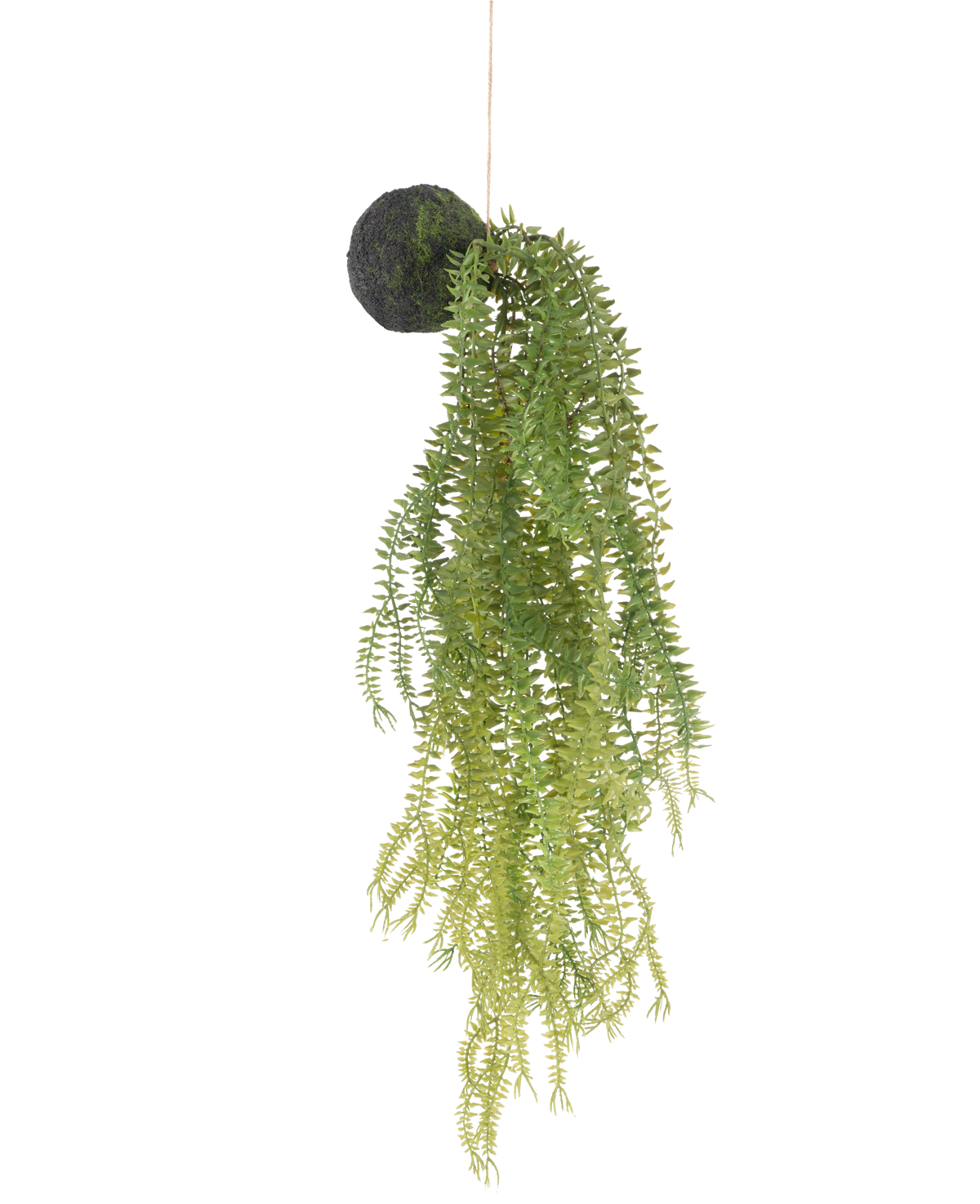 La plante artificielle suspendue Phlegmariurus ball 50 cm présente des feuilles de fougère vertes sur un socle rond recouvert de mousse, suspendues à une ficelle sur un fond blanc.