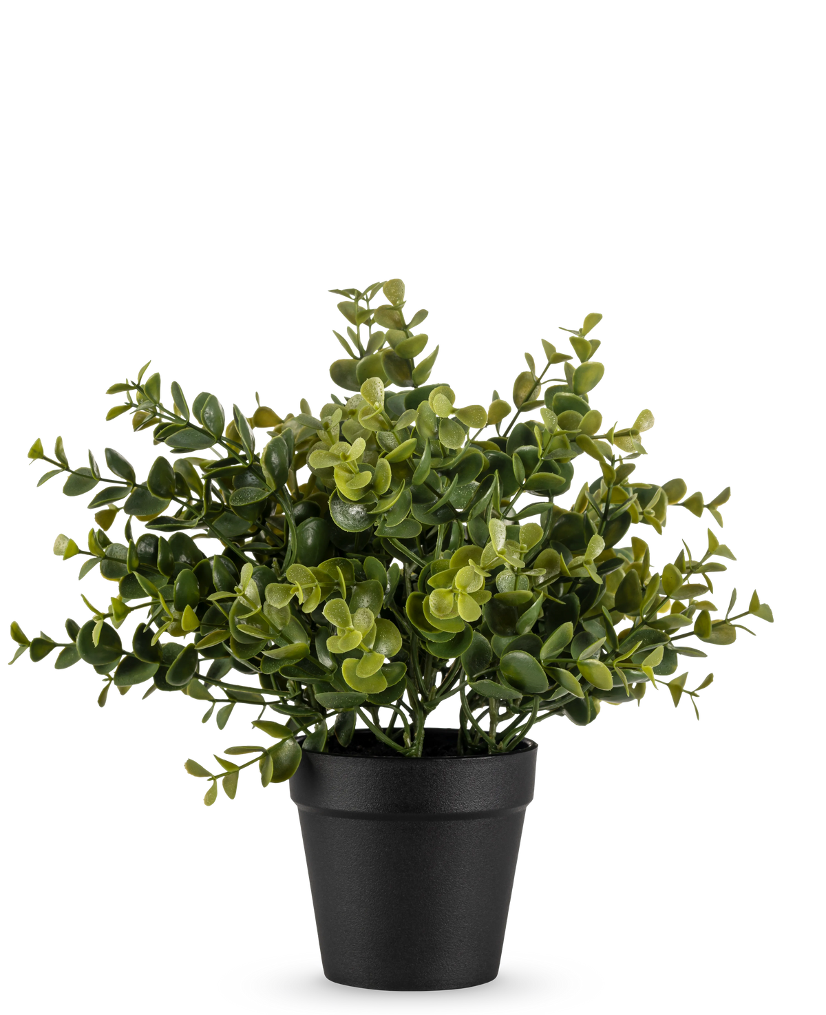 La plante artificielle Pumila 25 cm est une petite plante artificielle en pot avec des feuilles vertes luxuriantes dans un simple pot noir, représentée sur un fond blanc uni.