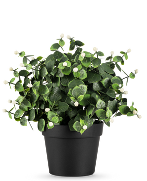La Plante Artificielle Eucalyptus blanc en pot UV 22 cm a des feuilles vertes denses et de petits bourgeons blancs dans un simple pot noir, parfait pour égayer n'importe quel espace.