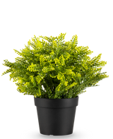 La Fougère Artificielle en pot UV 22 cm est une petite fougère artificielle aux feuilles vertes denses dans un pot simple noir, sur un fond blanc uni.