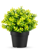 La plante de Romarin Artificiel UV 22 cm a des feuilles vert vif et jaune dans un pot en plastique noir uni, sur fond blanc.