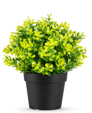 La plante de Romarin Artificiel UV 22 cm a des feuilles vert vif et jaune dans un pot en plastique noir uni, sur fond blanc.