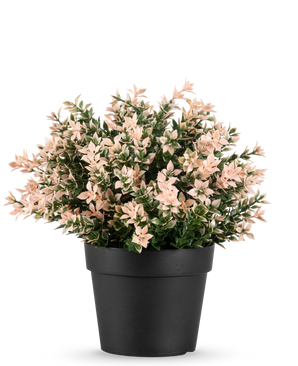 Le Buis Artificiel rose UV 22 cm présente de petites feuilles denses rose clair et vertes dans un pot uni noir, sur un fond blanc.