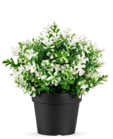 La plante Buis blanc artificiel en pot UV 19 cm possède des feuilles vertes denses et de nombreuses fleurs blanches, disposées dans un simple pot noir sur un fond blanc uni.