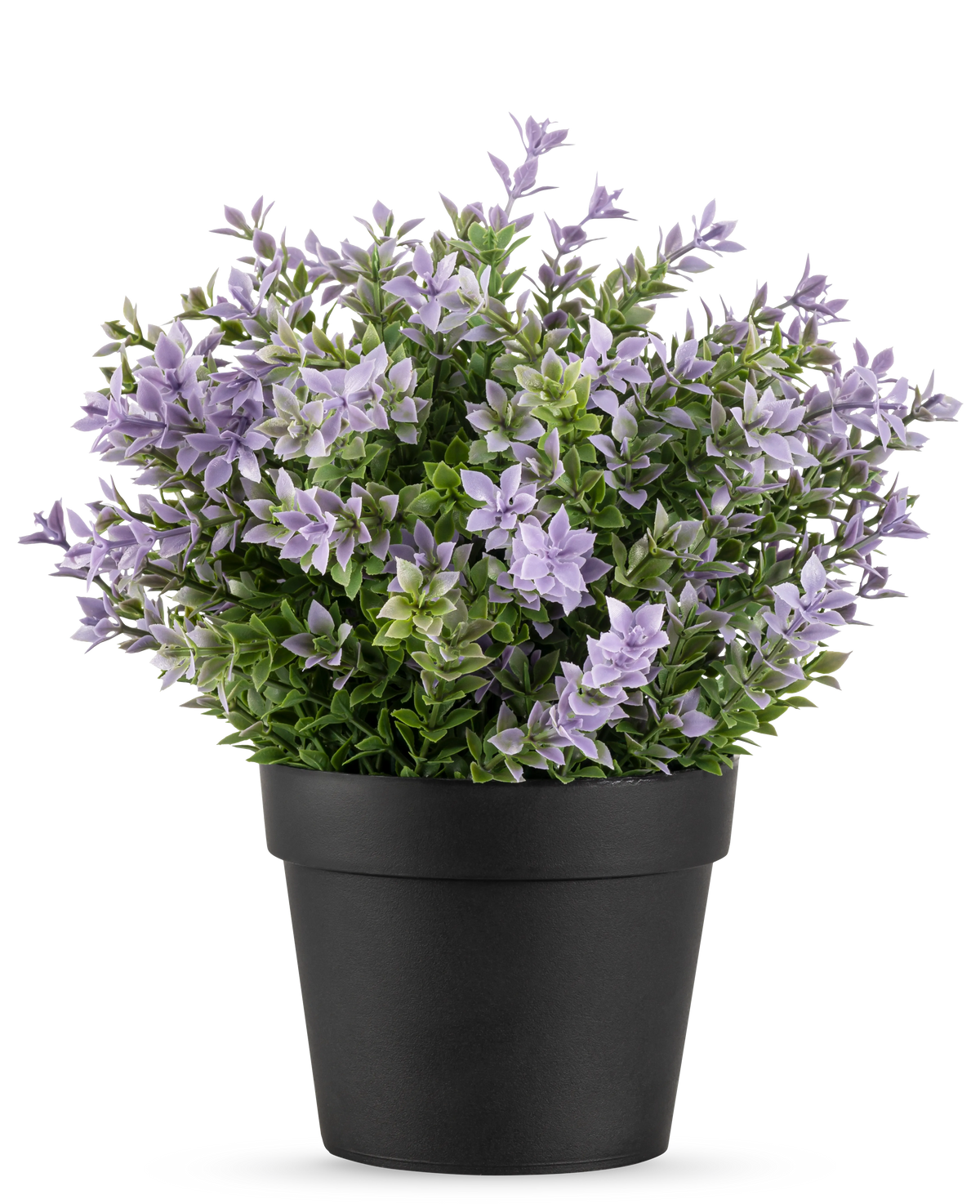 La Plante Artificielle Buxus violet UV 22 cm possède un pot de fleur noir avec une plante artificielle luxuriante avec de petites fleurs violet clair et des feuilles vertes sur un fond blanc uni.