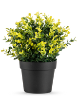 La Plante Artificielle Buxus jaune en pot UV 19 cm présente de petites feuilles vertes et jaunes dans un simple pot noir, sur un fond uni blanc.