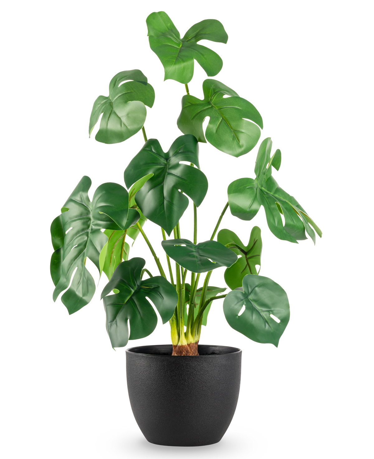 Le Monstera artificiel de 51 cm en pot décoratif noir présente de grandes feuilles vertes brillantes avec des fentes frappantes, dans un simple pot noir sur un fond blanc uni.
