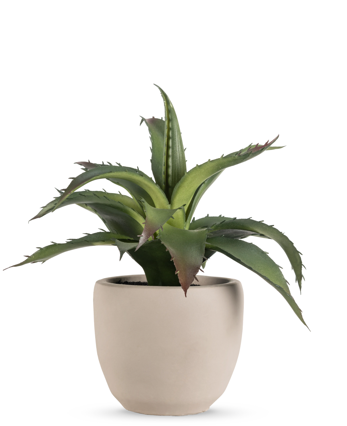 La plante succulente artificielle 20 cm en pot décoratif a des feuilles vertes, pointues et épineuses dans un simple pot rond en céramique beige clair sur fond blanc uni.