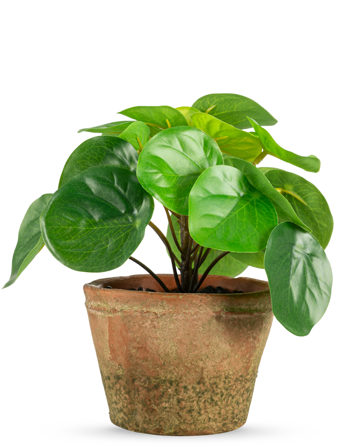La Plante Artificielle Pilea en pot mini UV 15 cm présente des feuilles rondes vert brillant dans un pot en terre cuite marron patiné, sur un fond uni blanc.