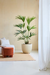 La Plante Artificielle Kentia Palm 180 cm se pose sur un tapis marron à côté d'un canapé blanc avec des coussins et un petit repose-pieds rond orange dans une pièce lumineuse et minimaliste aux rideaux blancs transparents.