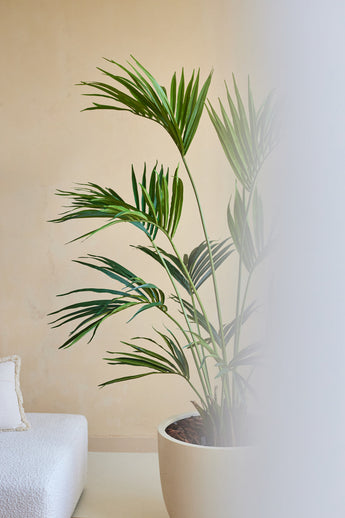 Une plante artificielle Kentia Palm de 180 cm se trouve à côté d'un canapé rembourré blanc contre un mur beige, le côté droit de l'image étant partiellement masqué par une zone mate ou floue.