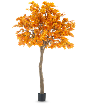 L'érable artificiel 280 cm est un grand érable artificiel avec des feuilles d'automne orange vif dans un pot noir, isolé sur fond blanc.