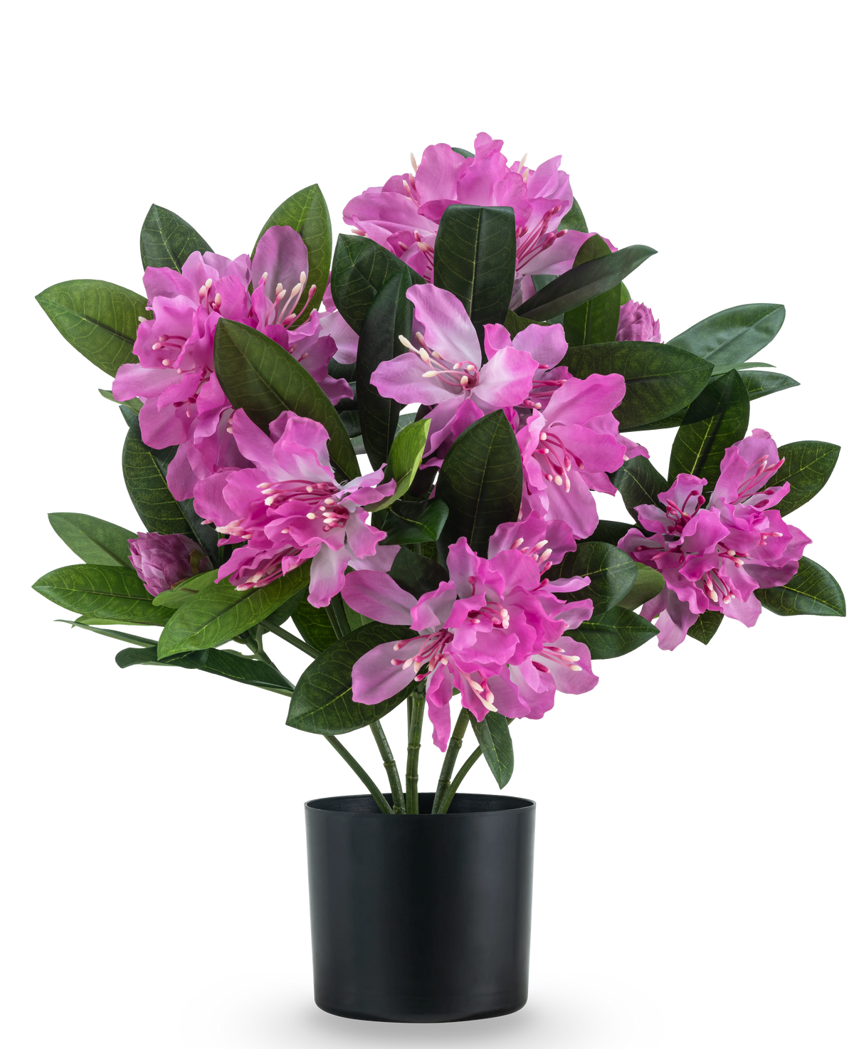 La plante artificielle Rhododendron 42 cm présente une plante artificielle avec des fleurs roses éclatantes et des feuilles vertes luxuriantes dans un pot noir, sur un fond blanc uni.