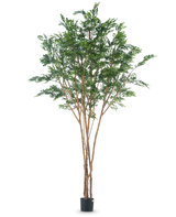 L'arbre artificiel Murraya paniculata 300 cm possède plusieurs troncs bruns élancés et des feuilles vertes denses dans une petite jardinière noire, sur un fond blanc uni.