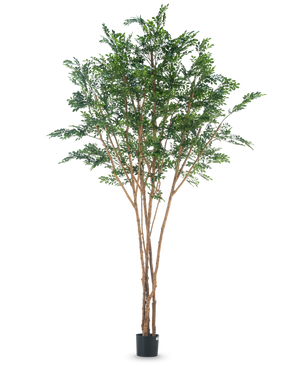 L'arbre artificiel Murraya paniculata 300 cm possède plusieurs troncs bruns élancés et des feuilles vertes denses dans une petite jardinière noire, sur un fond blanc uni.