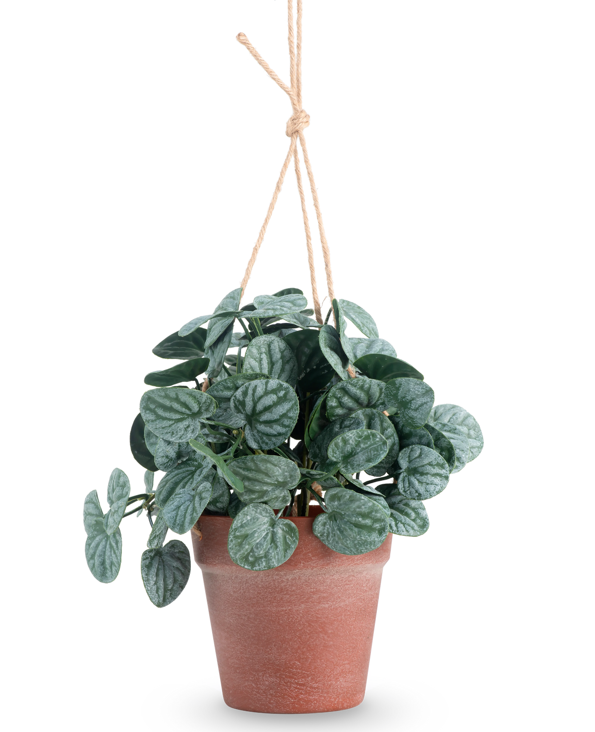 La Feuille Rugose artificielle 29 cm verte en pot suspendu présente des feuilles rondes vert foncé dans un pot suspendu marron, sur un fond uni blanc.
