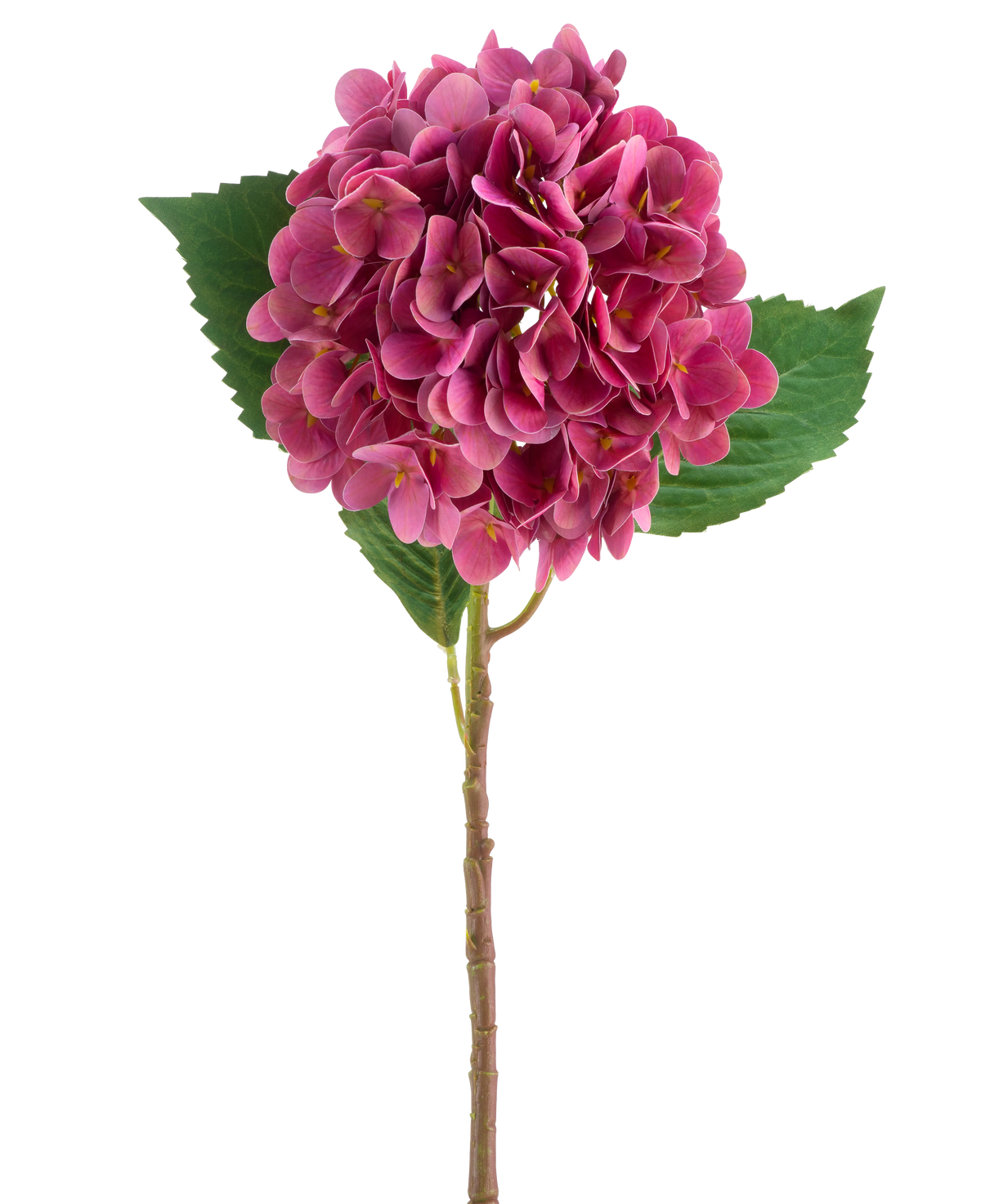 Une fleur d'hortensia artificielle Real Touch rouge-violet avec des feuilles vertes, de 58 cm de haut.