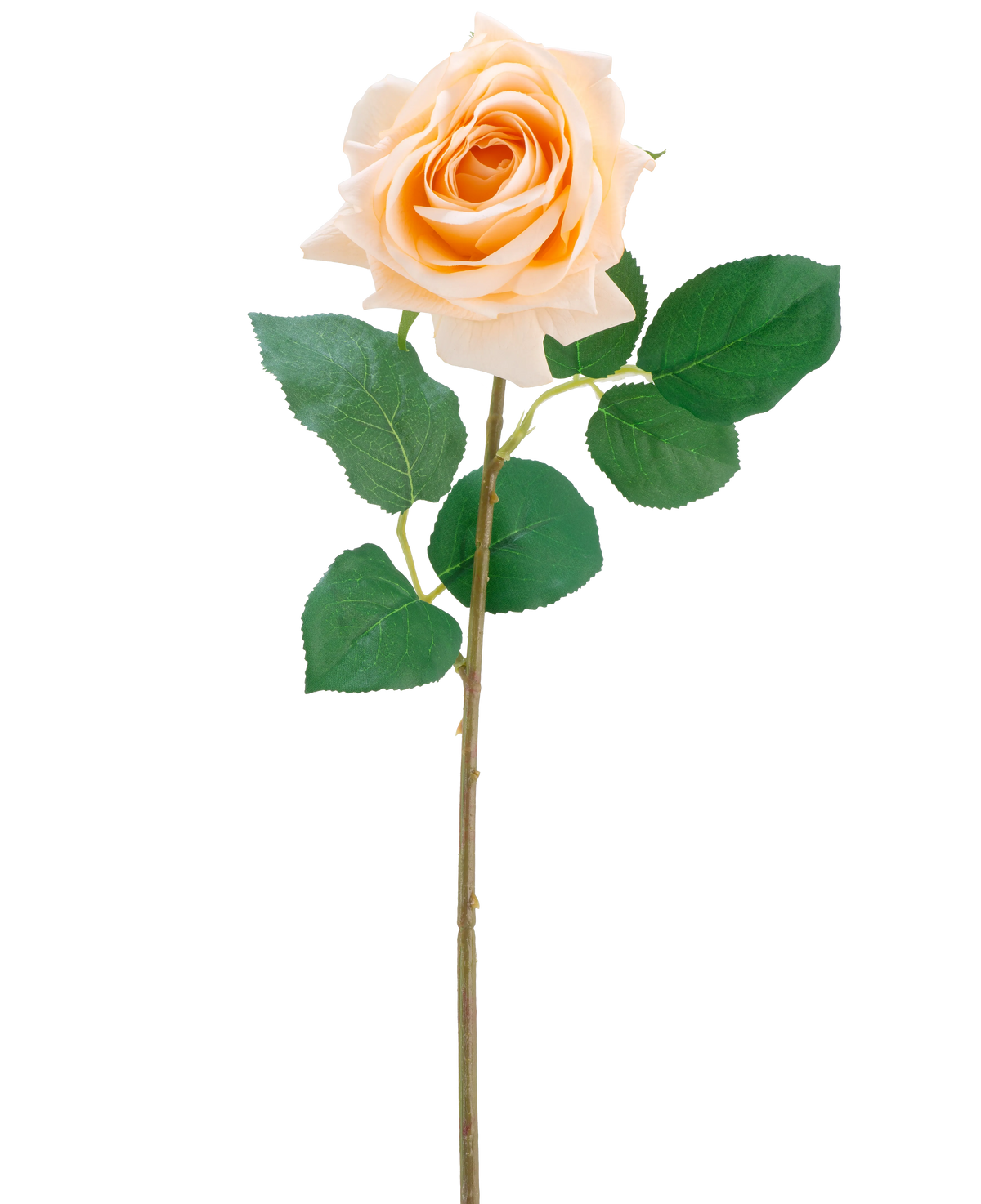 La fleur artificielle Crystal touch rose hydratante Real Touch en champagne est une rose artificielle simple avec des feuilles vertes sur une tige mince de 43 cm de long, représentée sur un fond blanc uni.