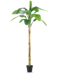 Bananier artificiel 250 cm