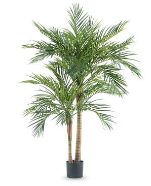 La Plante Artificielle Areca 180 cm est un grand palmier artificiel avec plusieurs troncs élancés et de longues feuilles vertes, dans un simple pot noir sur fond blanc.