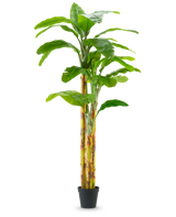 Le Bananier Artificiel 270 cm possède de larges feuilles vertes et des tiges jaune-vert dans un petit pot noir, sur un fond uni blanc.