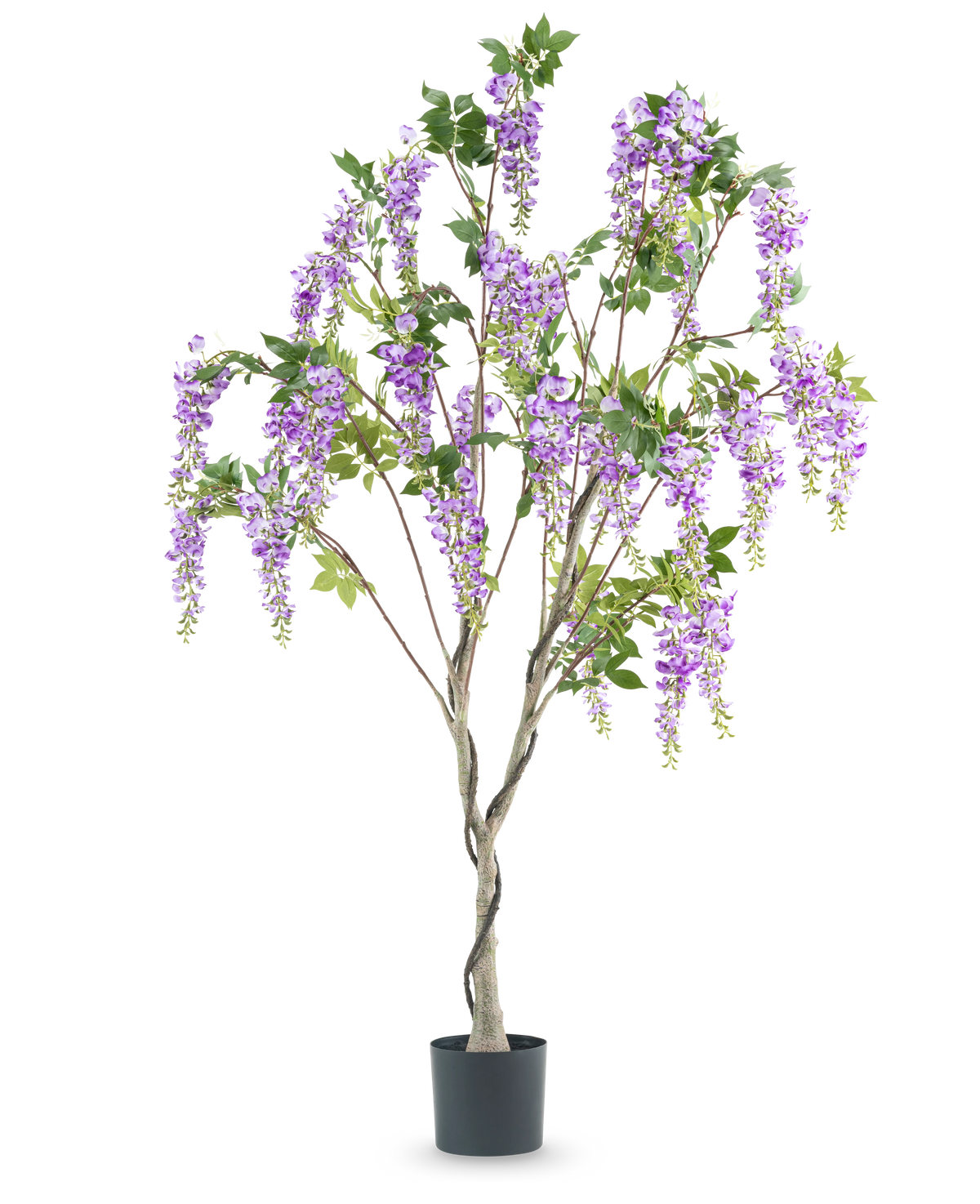La plante Wisteria artificielle de 180 cm a un tronc torsadé avec des bouquets réalistes de fleurs violettes et de feuilles vertes sur un fond blanc.