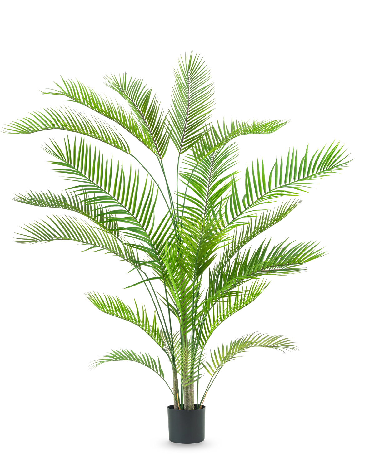 La plante artificielle Chamaedorea 180 cm est un grand palmier vert luxuriant avec de longues feuilles minces sur plusieurs troncs dans un simple pot noir, sur fond blanc.
