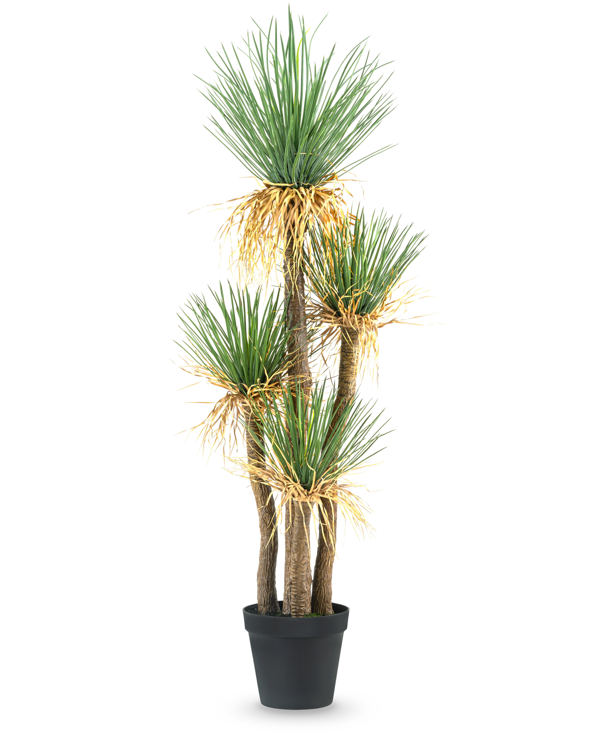 La plante artificielle Yucca deluxe 182 cm est un grand yucca artificiel avec de multiples tiges ligneuses et des grappes de longues feuilles vertes pointues et un peu jaunies à la base, parfaite comme pièce décorative pour n'importe quelle pièce.