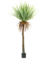La plante artificielle Yucca 153 cm a un tronc brun haut et rugueux avec des feuilles vertes épineuses en haut et quelques feuilles séchées en bas, sur un fond blanc uni.